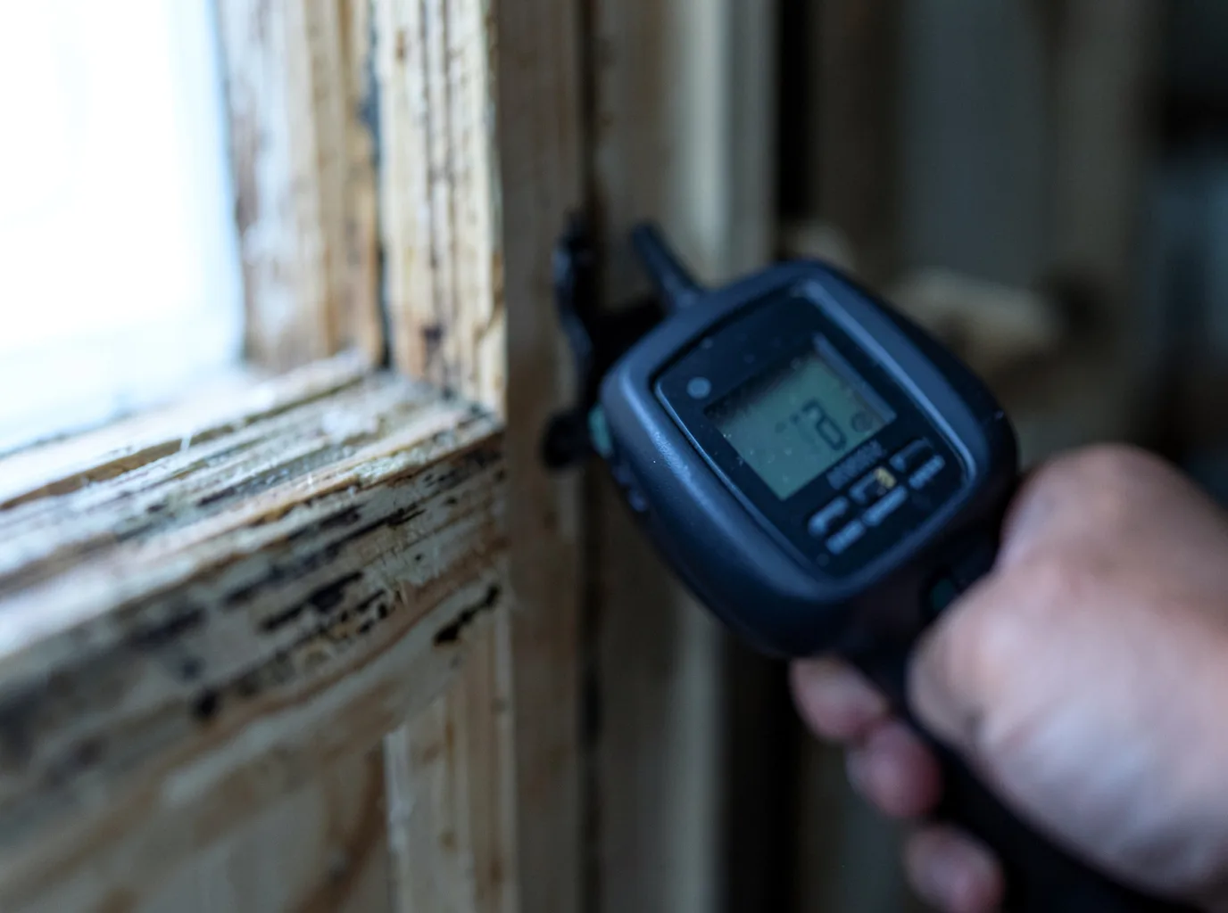 Commercial Water Damage Restoration in Aguanga, CA